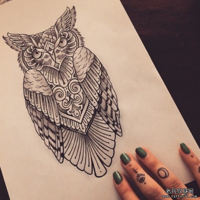 欧美school猫头鹰个性纹身图片手稿