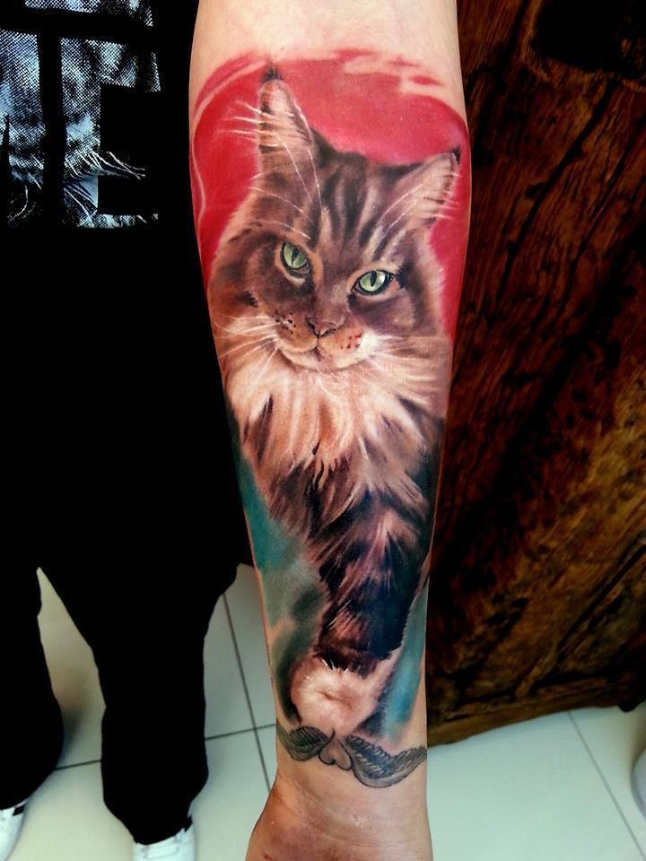 小臂华丽写实的猫肖像纹身图片