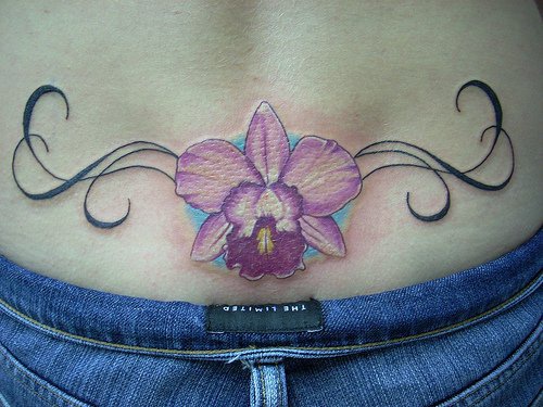 腰部漂亮的蝴蝶兰与藤蔓纹身图片