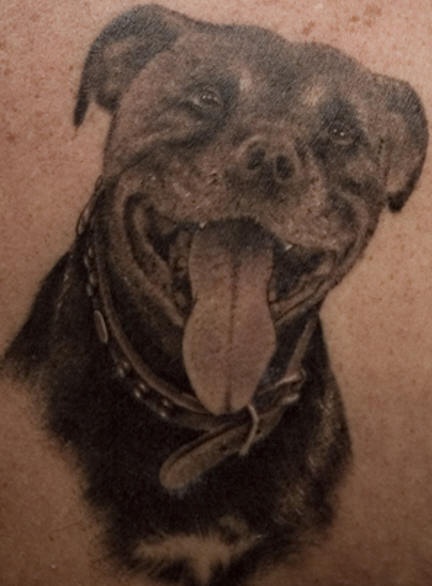 很高兴的狗头像纹身图片