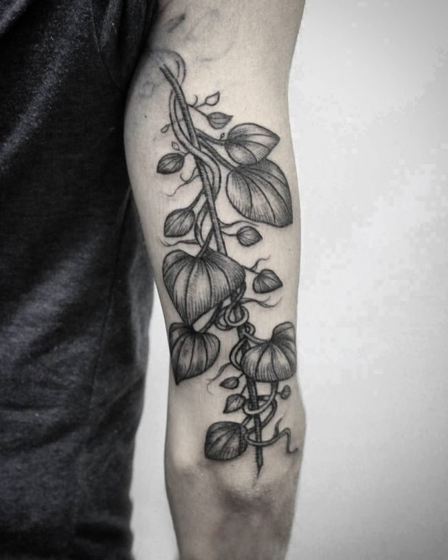 多款关于弯弯的黑色抽象线条植物藤纹身图片