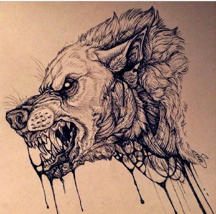 恶狼纹身：9张滴血狼头等凶恶的狼纹身图片