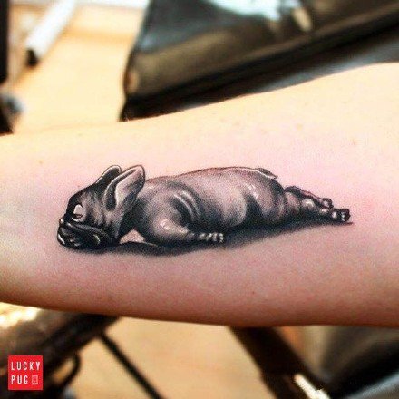 几款法国斗牛犬的纹身图片