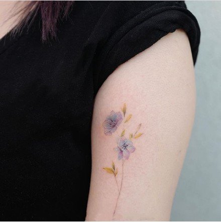 冷色调的9款清新花卉植物纹身作品