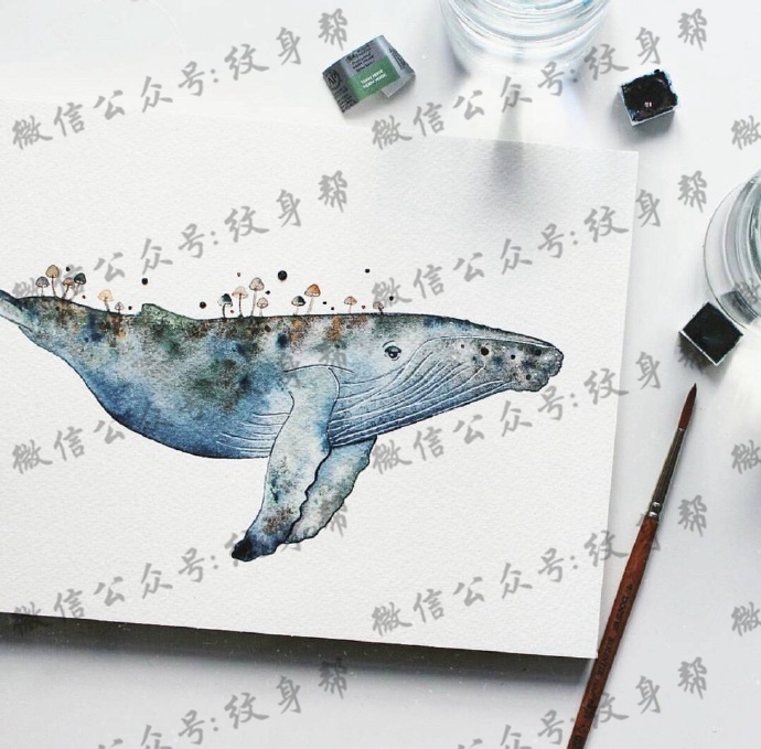 鲸鱼纹身手稿_十几张水彩鲸鱼手稿纹身图片素材