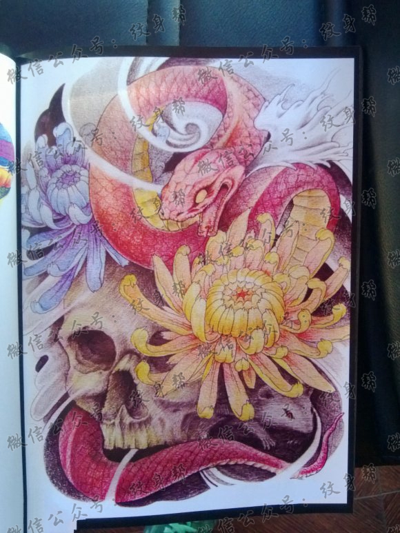 骷髅蛇菊花纹身图片
