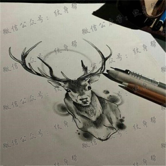 黑灰素描个性羚羊纹身手稿图片