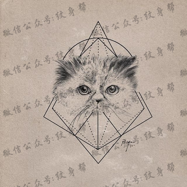 欧美小清新猫几何线条纹身图片手稿