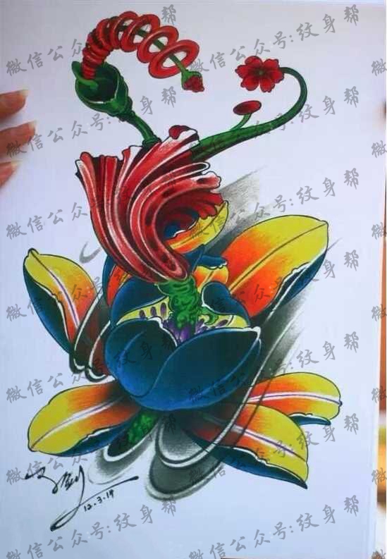 手稿莲花出花纹身图片