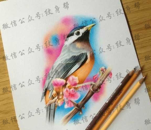 手稿彩鸽子纹身图片