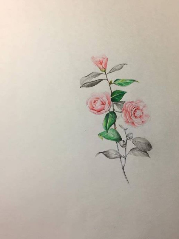 跟花有关的小清新纹身图片9张