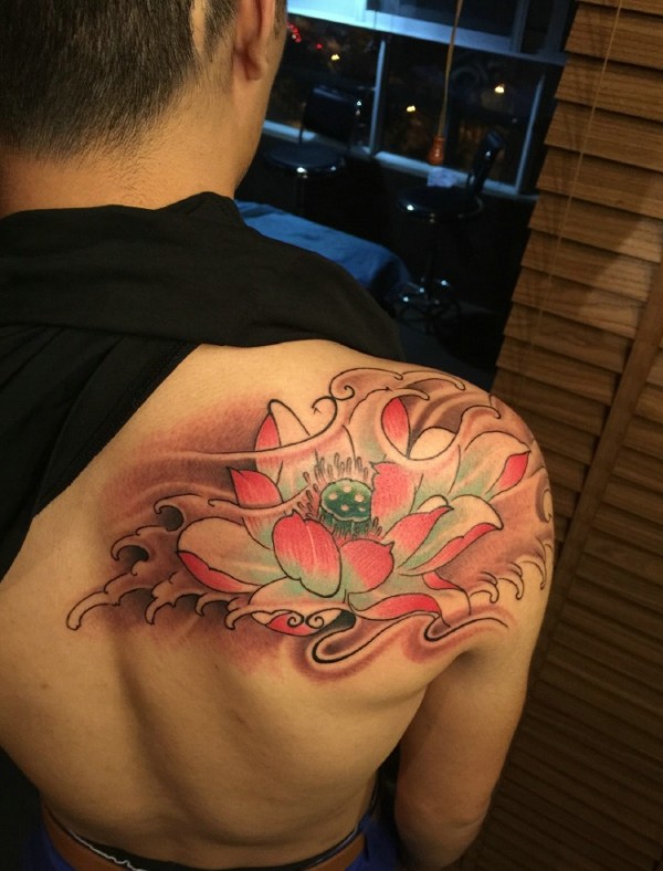 美丽的莲花在不同部位上也会显得不一样的美