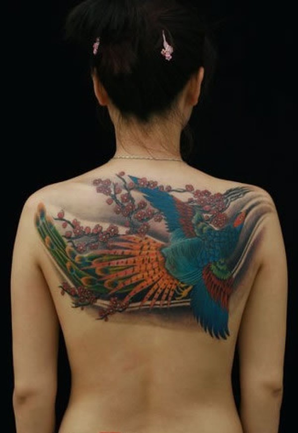 女生后背彩绘孔雀图案纹身