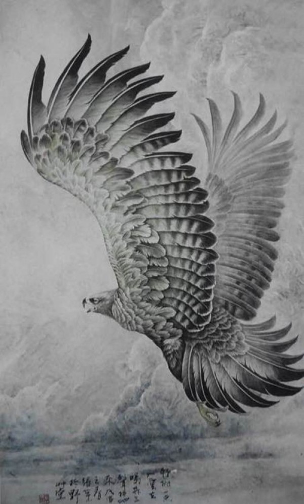 一组展翅的雄鹰纹身手稿图5