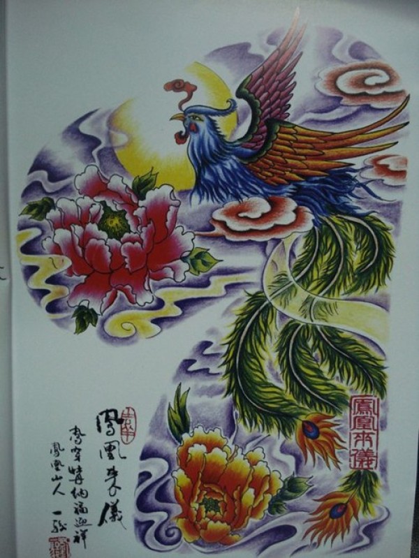 彩色凤凰纹身手稿图6