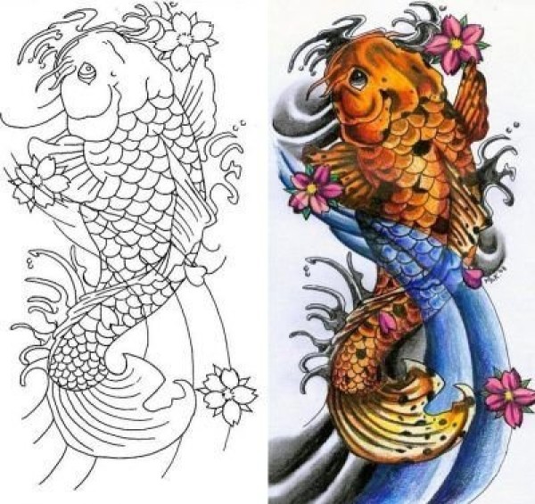 多款漂亮的彩色锦鲤鱼纹身图片手稿