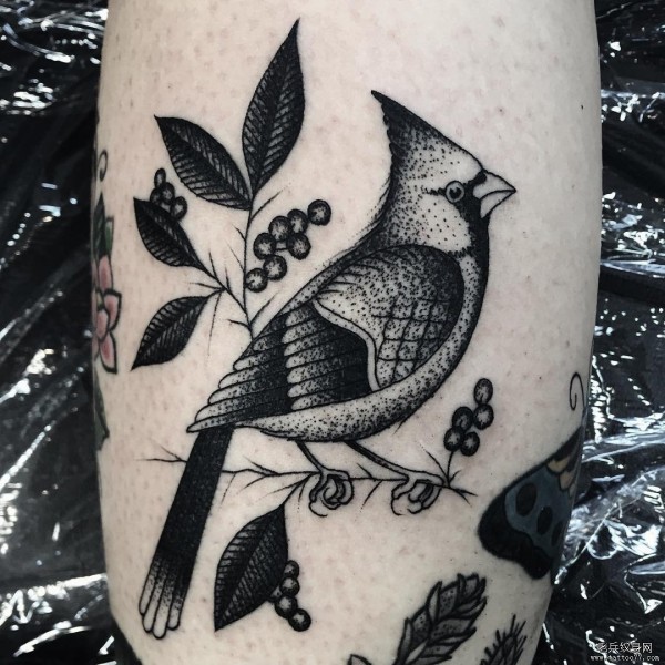 小臂小清新鸟植物tattoo纹身图片