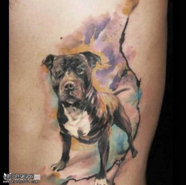 腰部斗牛犬纹身图片