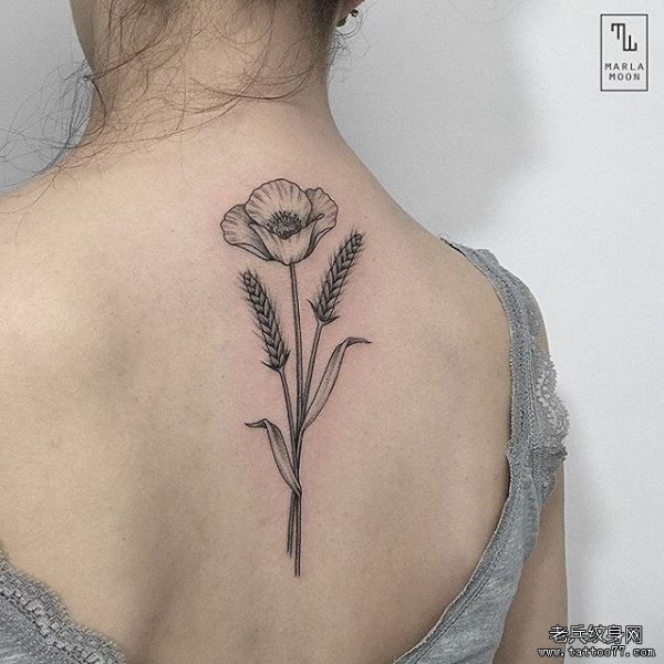 女生背部罂粟花纹身tattoo图案