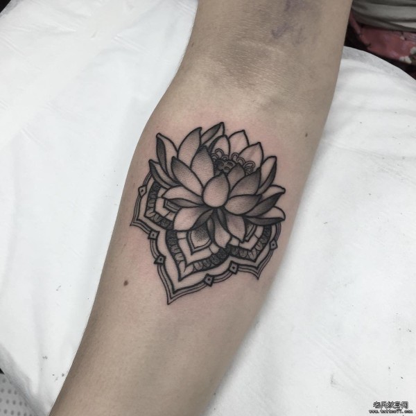 小臂黑灰莲花梵花纹身tattoo图案