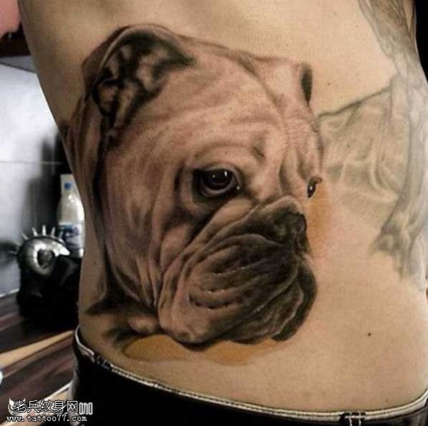 腰部斗牛犬纹身图片