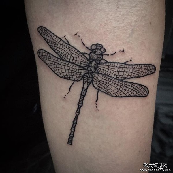 小臂黑色线条蜻蜓tattoo纹身图片