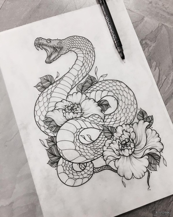 个性的牡丹花蛇纹身图片手稿