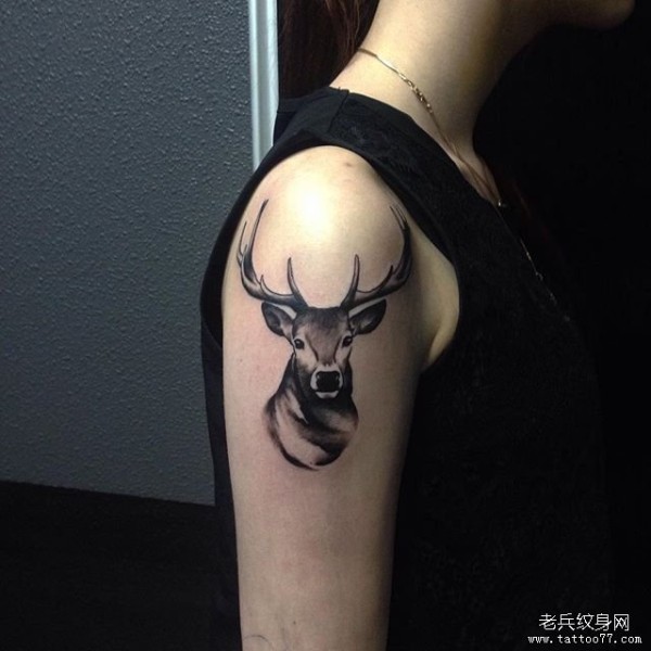 大臂麋鹿头像tattoo纹身图片