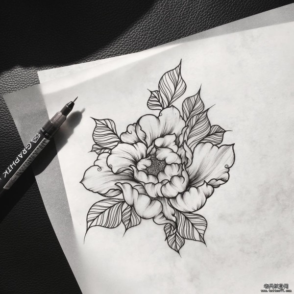 欧美school纹身牡丹花图案手稿