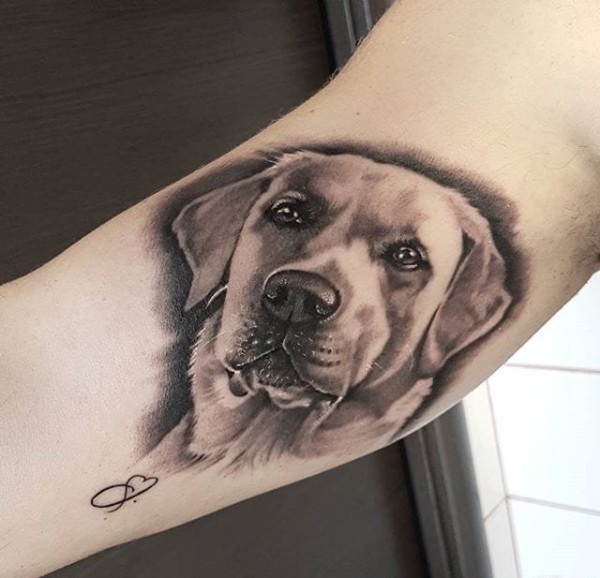 9款可爱的拉布拉多犬宠物狗纹身小动物纹身图片