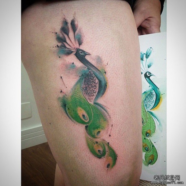 大腿性感孔雀彩绘纹身图片