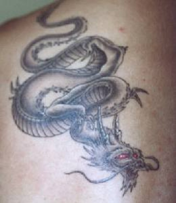 肩部智慧的中国龙纹身图片