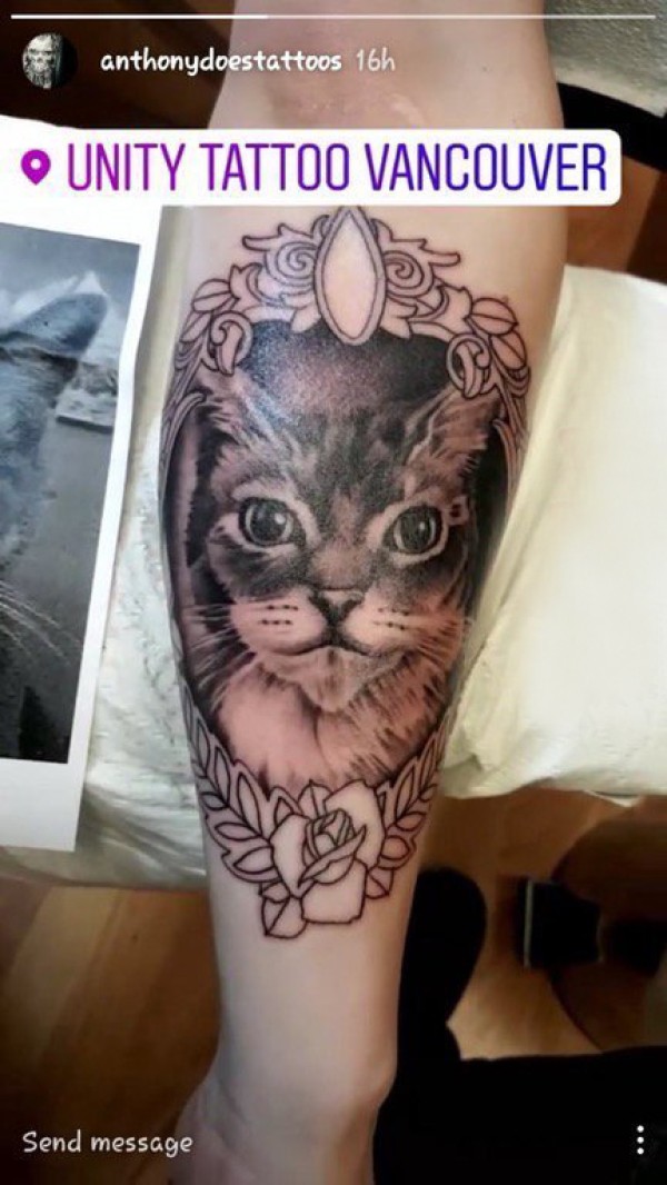小清新猫咪纹身 女生手臂上猫纹身图片