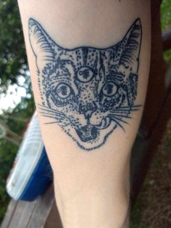 百乐动物纹身 男生手臂上黑色的猫咪纹身图片