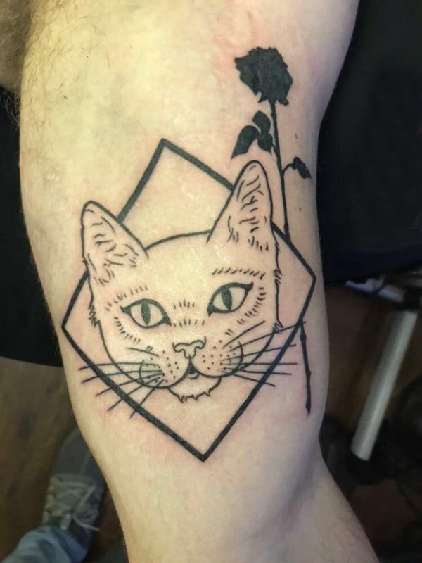 小猫咪纹身 男生手臂上小猫咪纹身图片