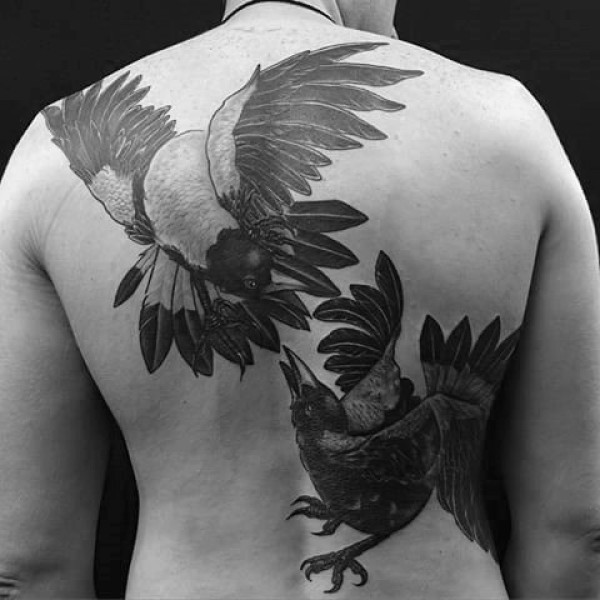 喜鹊纹身--11张男士各部位的黑色喜鹊纹身图片