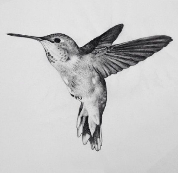 一组蜂鸟主题的纹身图片作品