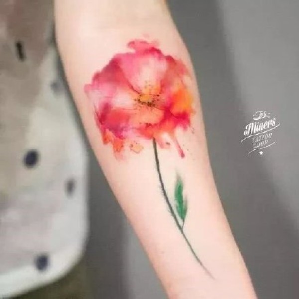纹身罂粟花 艳丽漂亮的一组罂粟花纹身图片作品