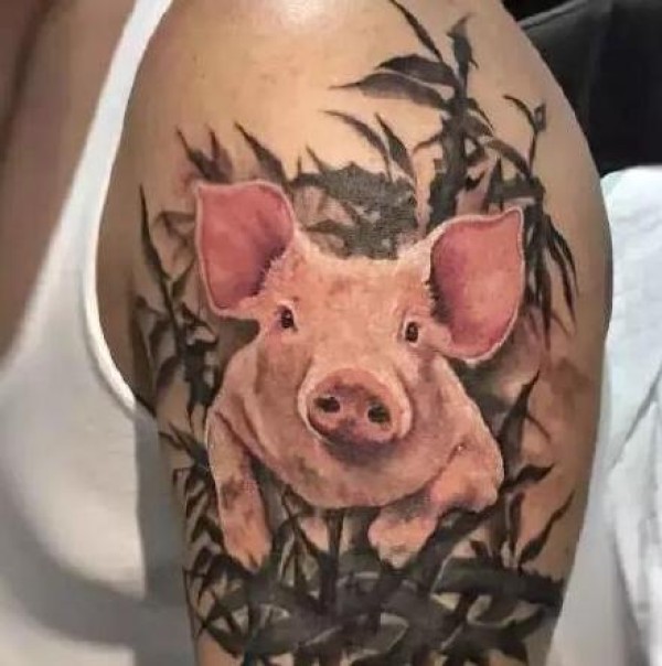 小猪纹身 很可爱的一组小猪题材的纹身图片