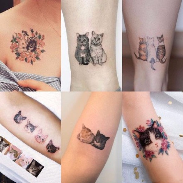 宠物纹身 小清新的9组可爱宠物猫狗纹身图片