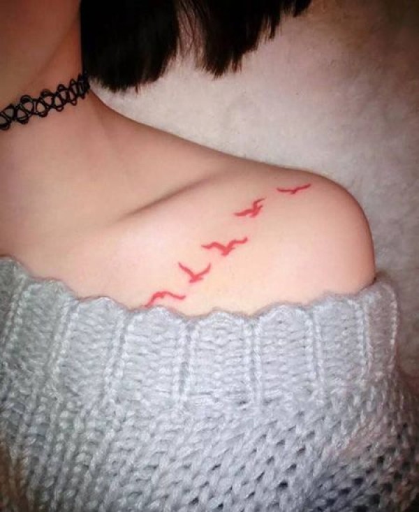 女生锁骨性感海鸥纹身图片