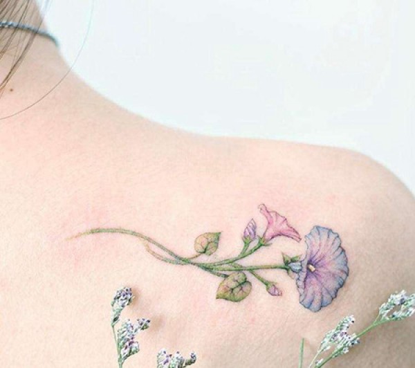 女生肩部性感的牵牛花纹身图片
