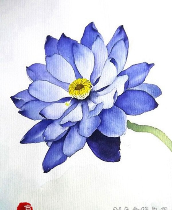 唯美艺术花蕊纹身彩绘图案欣赏