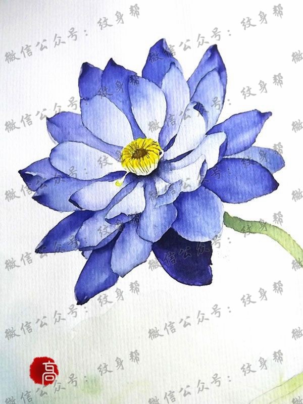 经典手稿刺青花蕊图案