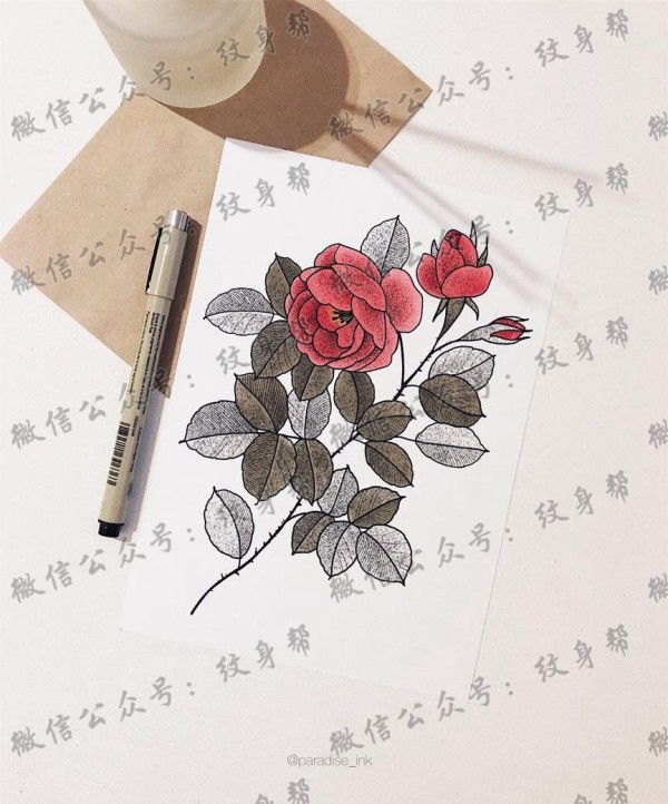 色彩玫瑰花树叶纹身手稿