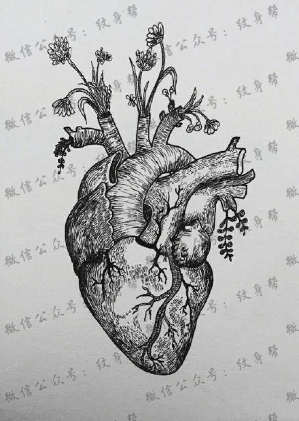 一套15张心脏纹身手稿图案素材