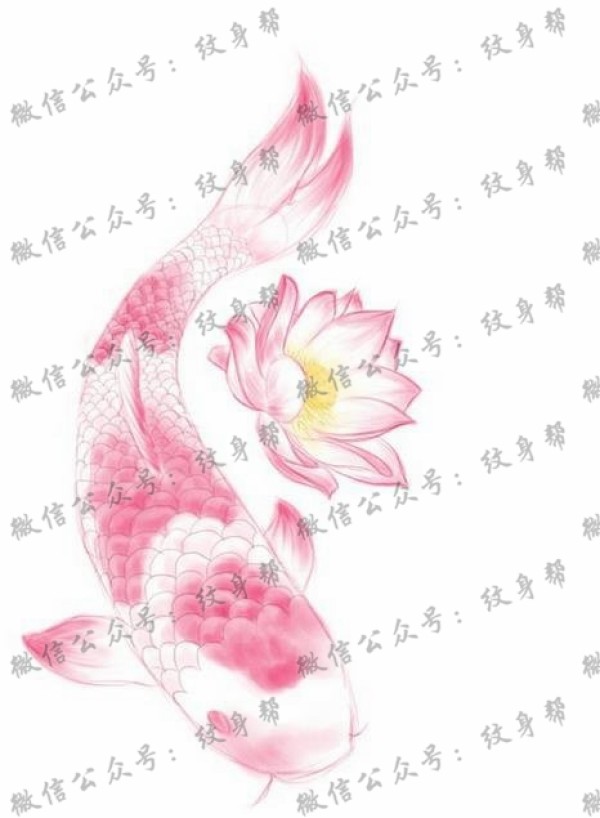 水墨鱼莲花纹身图片