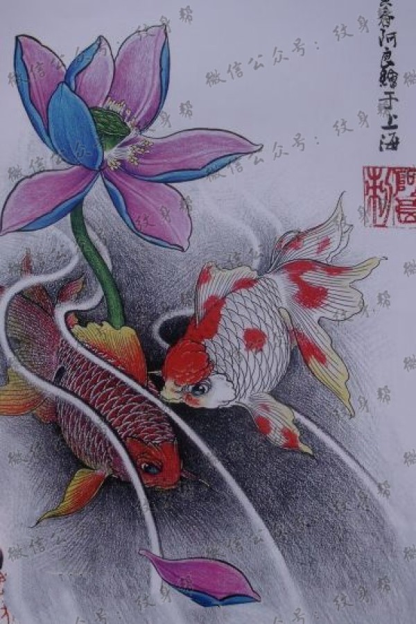 鲤鱼莲花纹身手稿