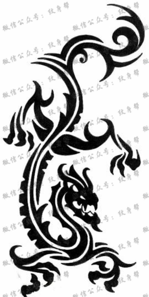 图腾龙纹身手稿