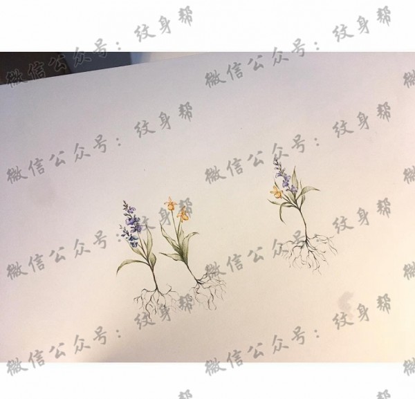 简约小花纹身手稿